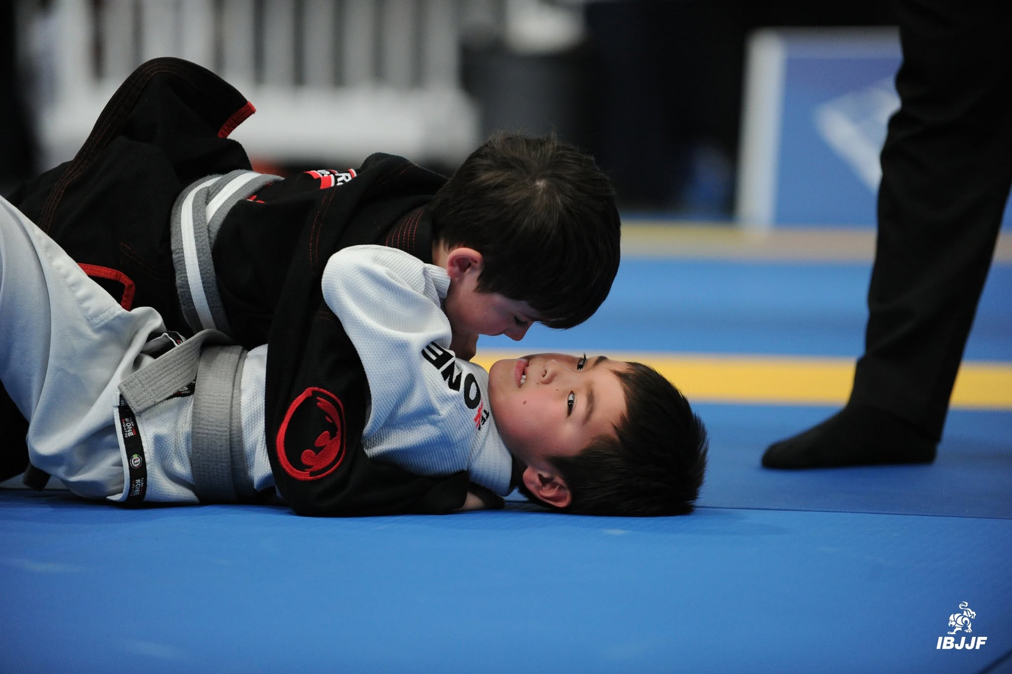 أطفال بالحزام الرمادي على الأرض في IBJJF Montreal Open 2026