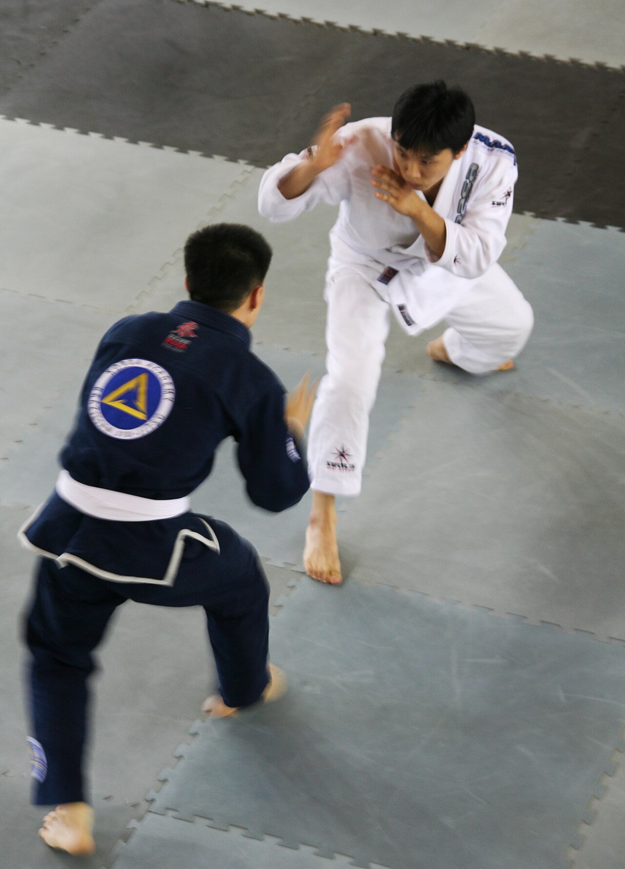 Combien de Temps pour Obtenir la Ceinture Bleue? Guide des Ceintures BJJ