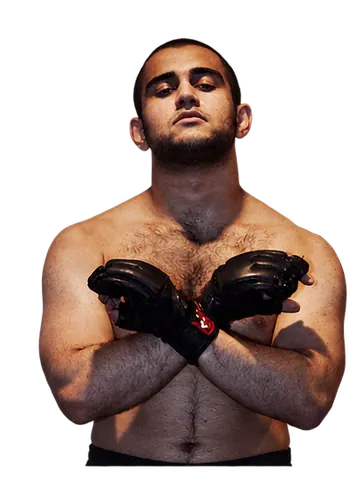 Mani Roushanzamir