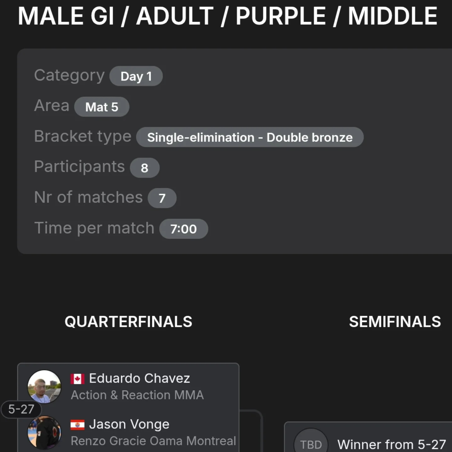 Bracket screenshot for an adult purple belt gi division