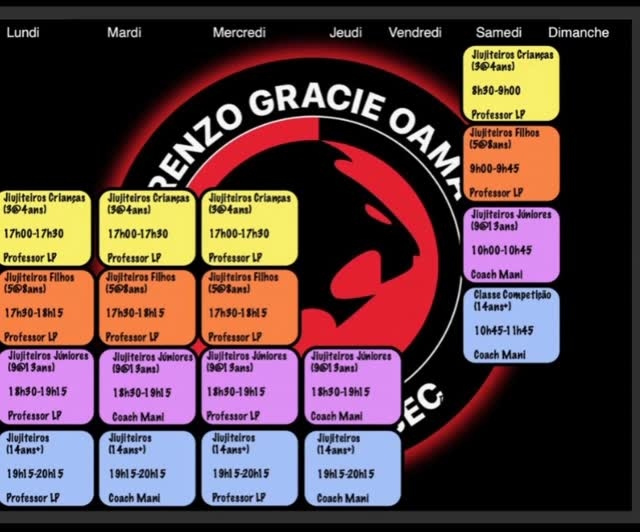 A weekly class schedule in colour-coded boxes over the academy logo