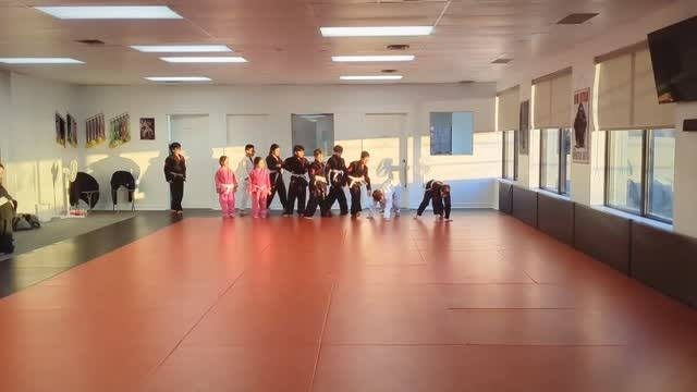 Young students in black, white and pink gis line up at the edge of the red mats